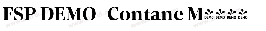 FSP DEMO   Contane M字体转换